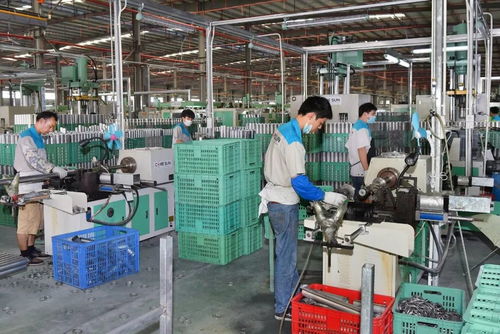 怀文抱质，匠心木魂 阳江竹木企业以工业酶制剂研发引领粤东西北外贸出口