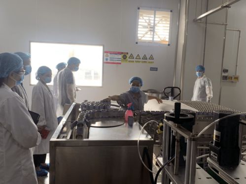 崇州市食品生产企业迎突击检查，工业酶制剂研发与生产安全备受关注